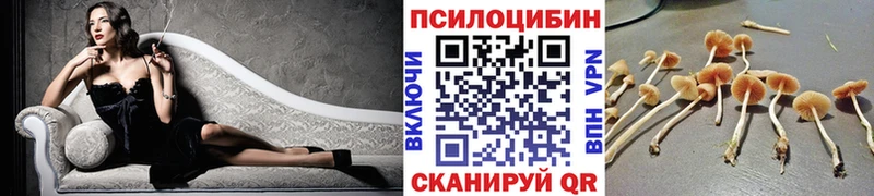 дарк нет состав  Верхотурье  Псилоцибиновые грибы MAGIC MUSHROOMS 